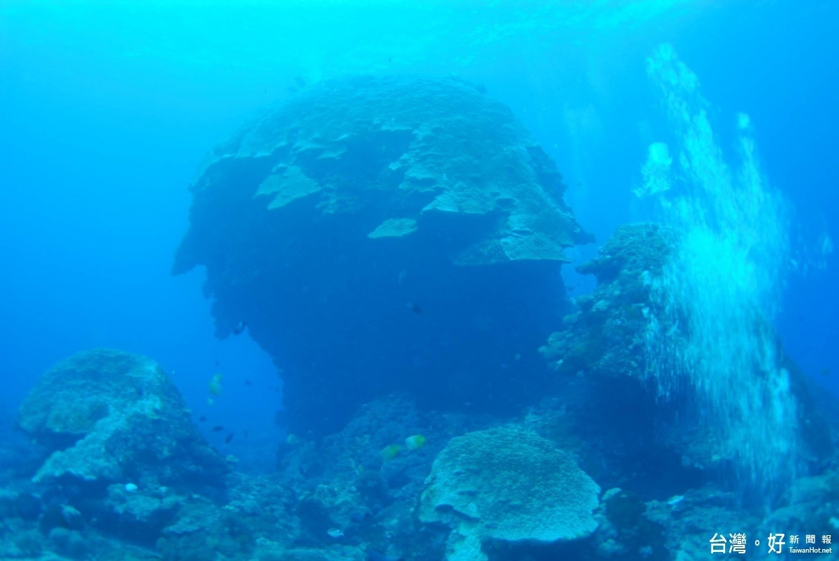 不敵強颱莫蘭蒂　千年「綠島大香菇」倒了