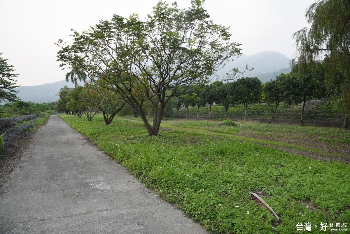 水里鄉水里溪旁河濱公園場地相當適合做為木球場地。