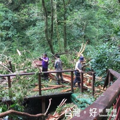 拉拉山神木休園二