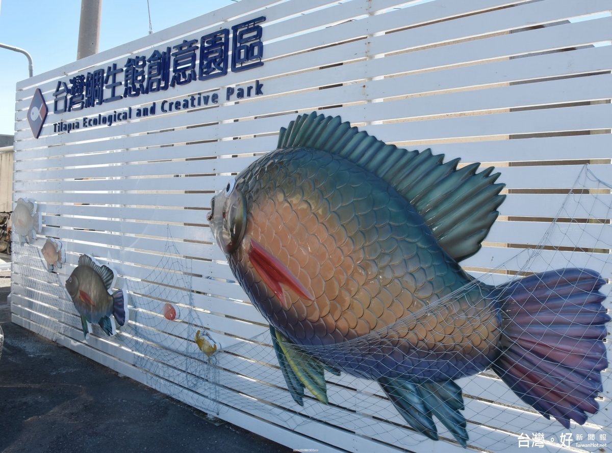Life生活網 口湖台灣鯛生態園區讓雲林鯛魚游向全世界