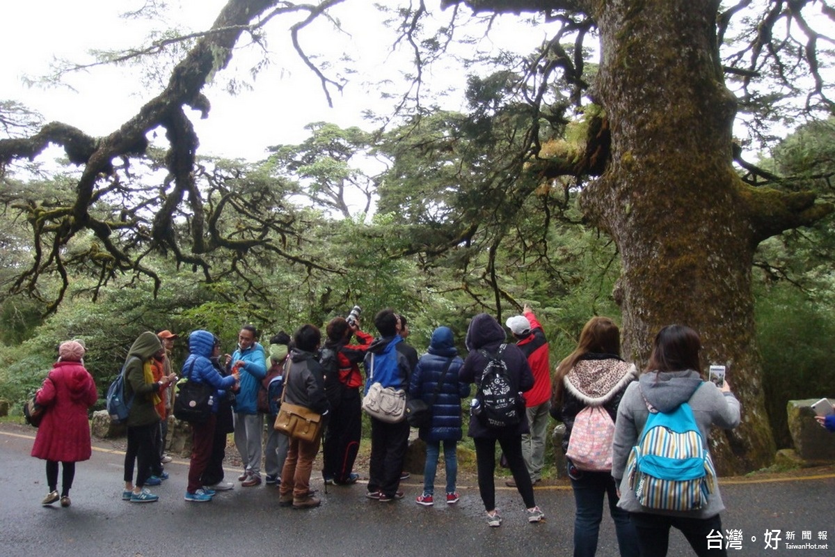 歡迎民眾於春節假期時來體驗春季的玉山國家公園自然之旅。