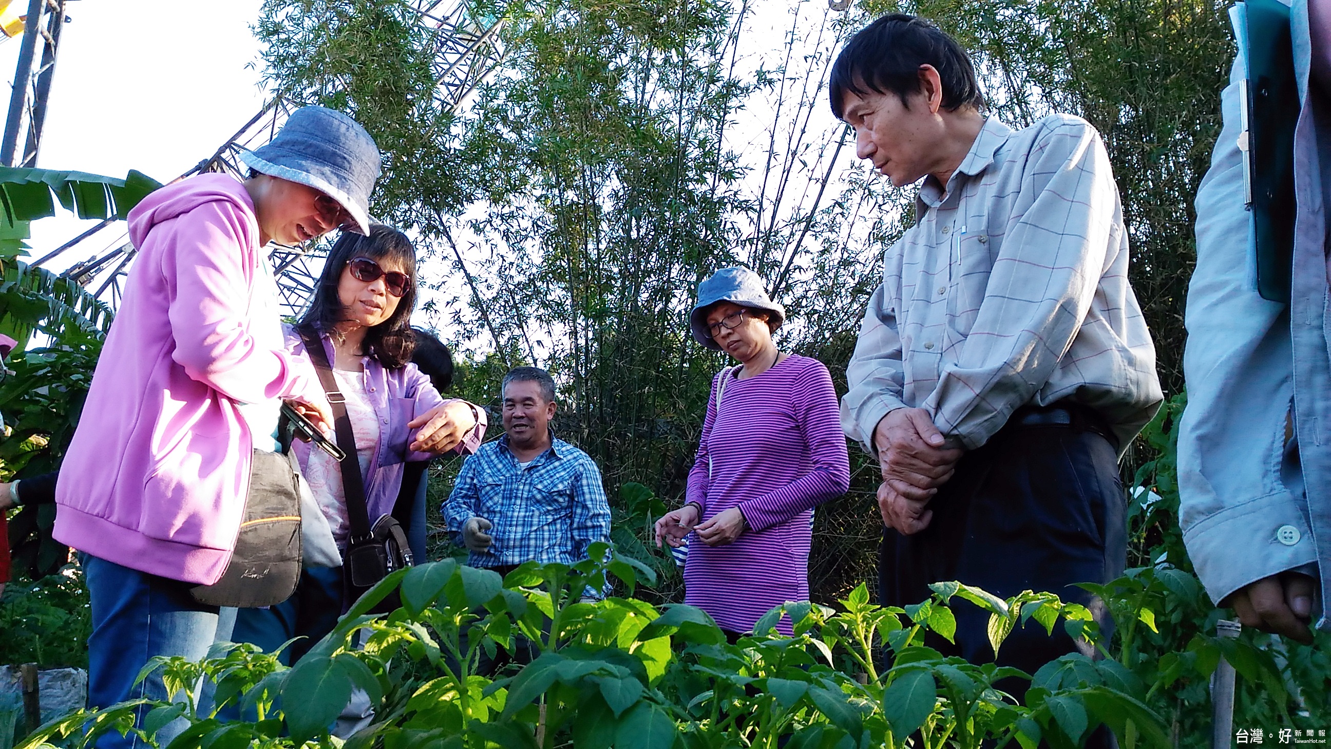 如何把菜畦變美麗花園？　可食地景工作坊教你　