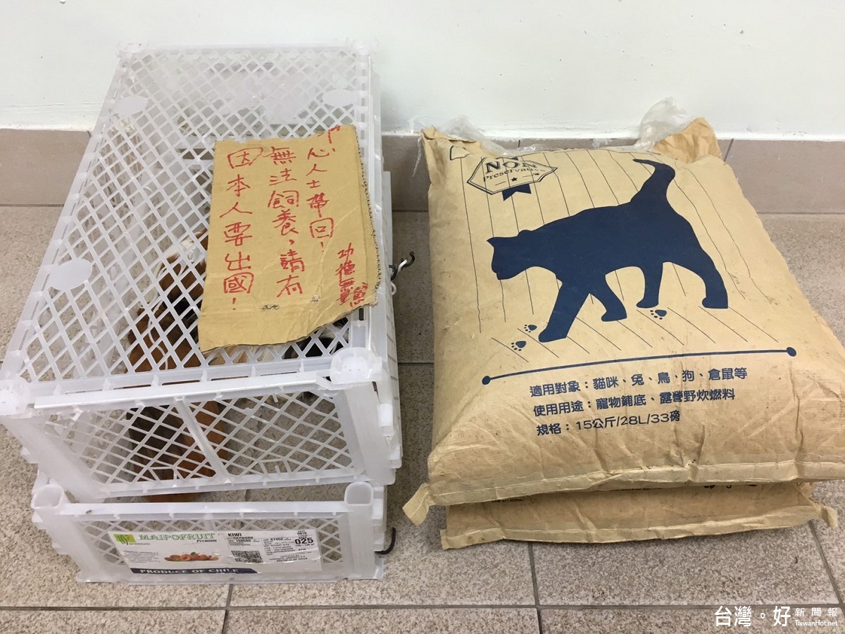 老翁棄養寵物鼠　新北動保處依動物保護法開罰