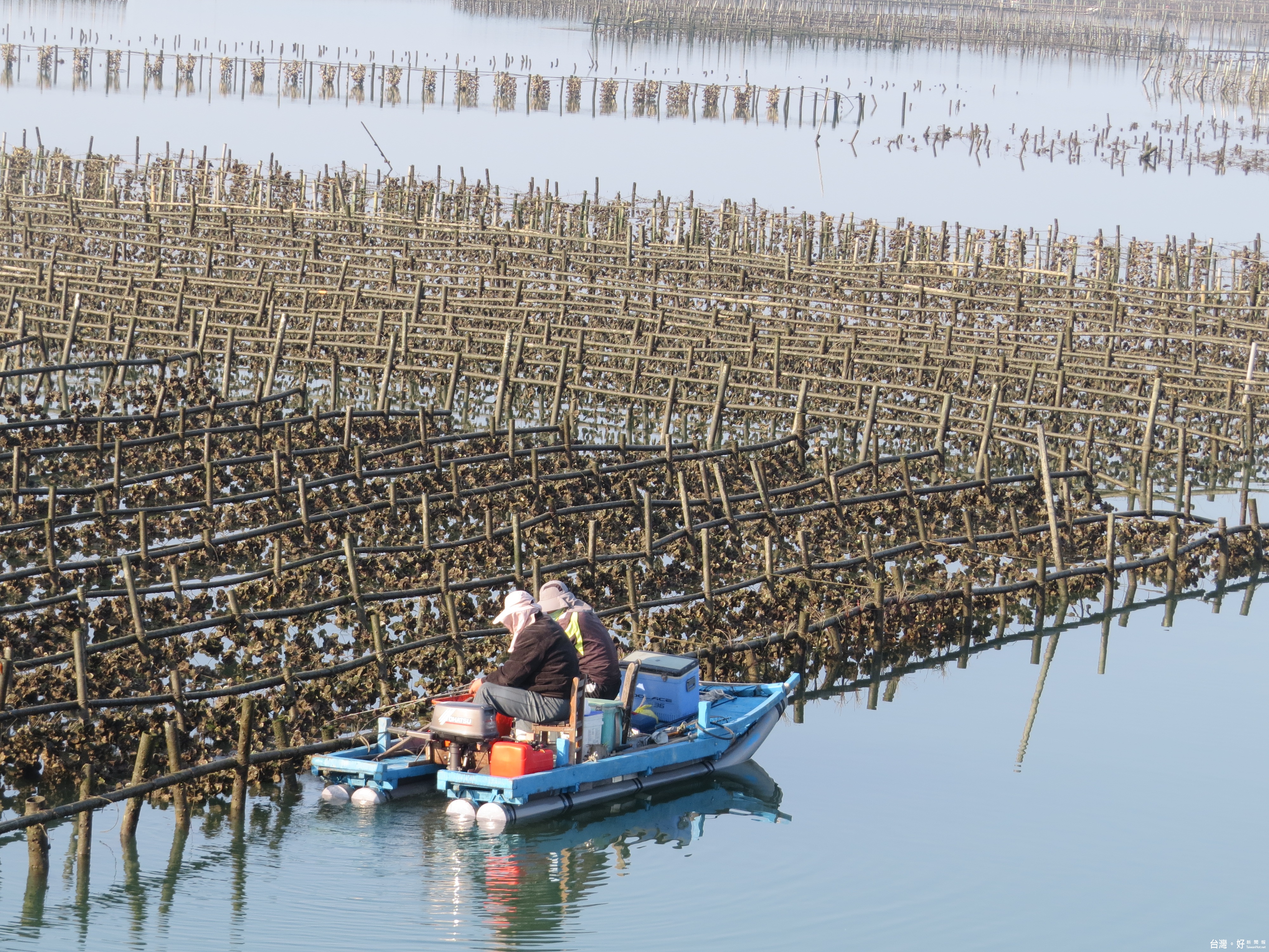 被遺忘的白水湖壽島海灘長約六公里，比外傘頂洲更親近有趣