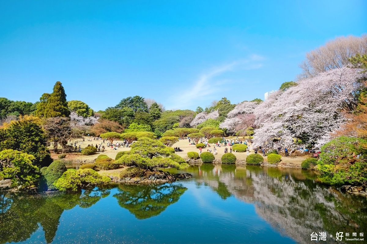 日本一向是賞櫻旅遊不可不去的聖地，喜鴻東京賞櫻團更是受到青睞。（圖／喜鴻假期提供）