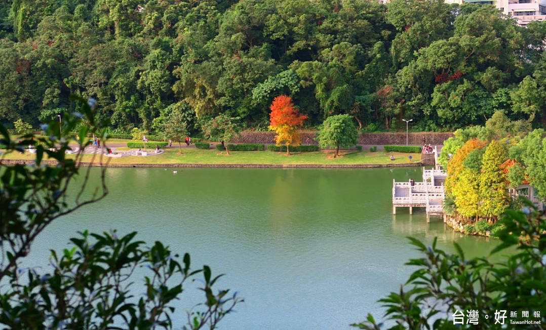 在碧湖公園湖濱步道散步時，可常見許多鳥類悠遊湖邊或於樹上休憩。（圖／台北市政府工務局公園路燈工程管理處）