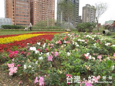 卸下勞頓、舒展身心　大安森林公園賞杜鵑、品咖啡