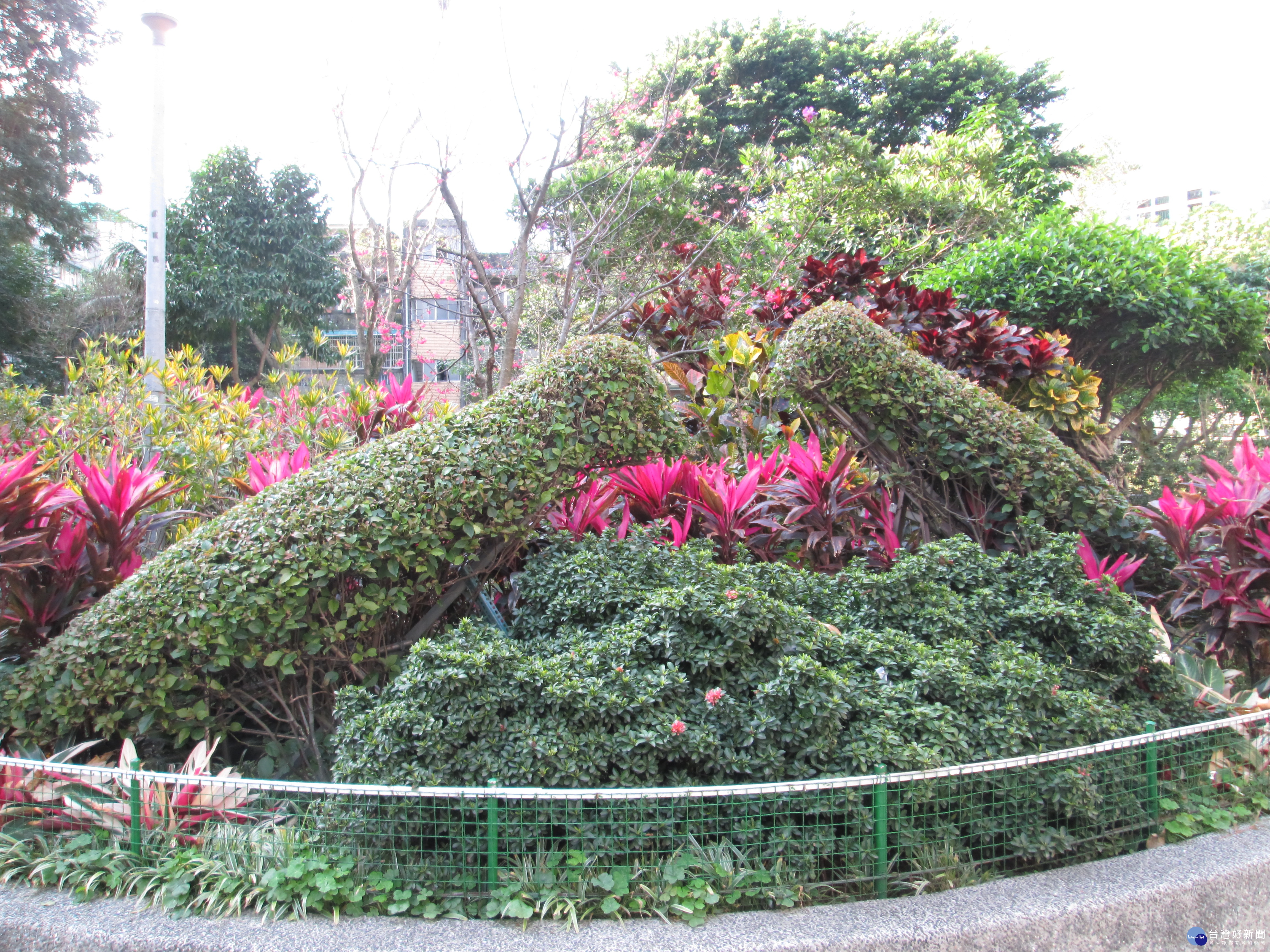 龍陣二號公園養綠雕　彷彿置身動物園