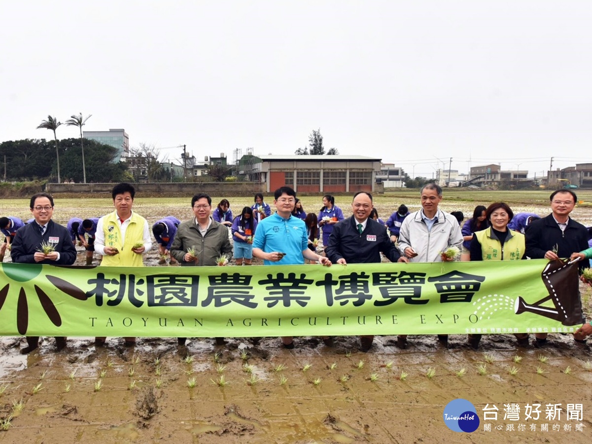 桃園市農業博覽會彩繪稻田插秧，視覺彩繪稻田景觀