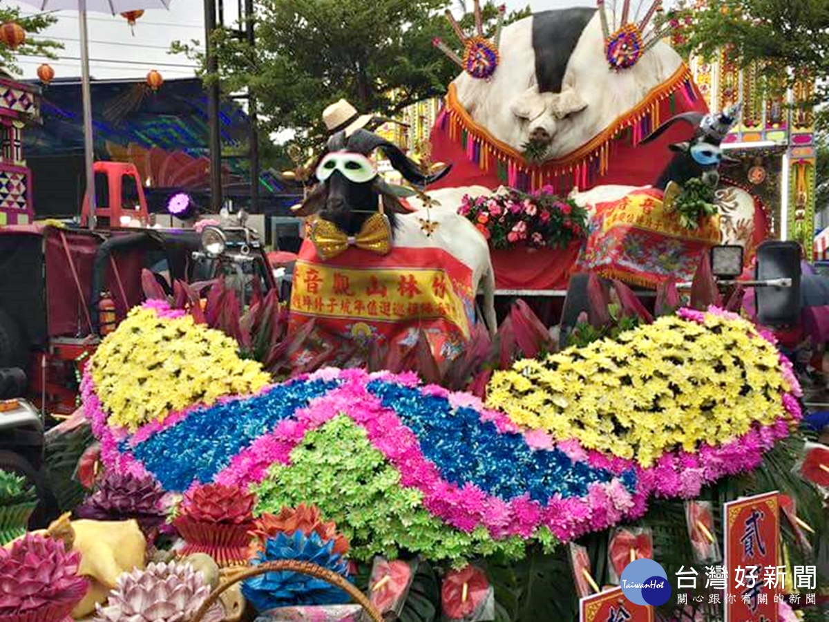 慶祝「觀音媽過頭」活動 中祭祀的神豬祈願觀音保佑蘆竹平安大發展