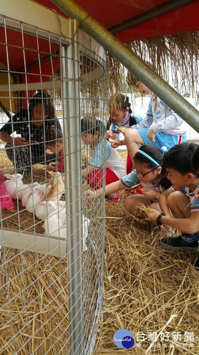 微笑牧場餵食活動，「兔遊田園區」，吸引不少大小朋友排隊餵食。