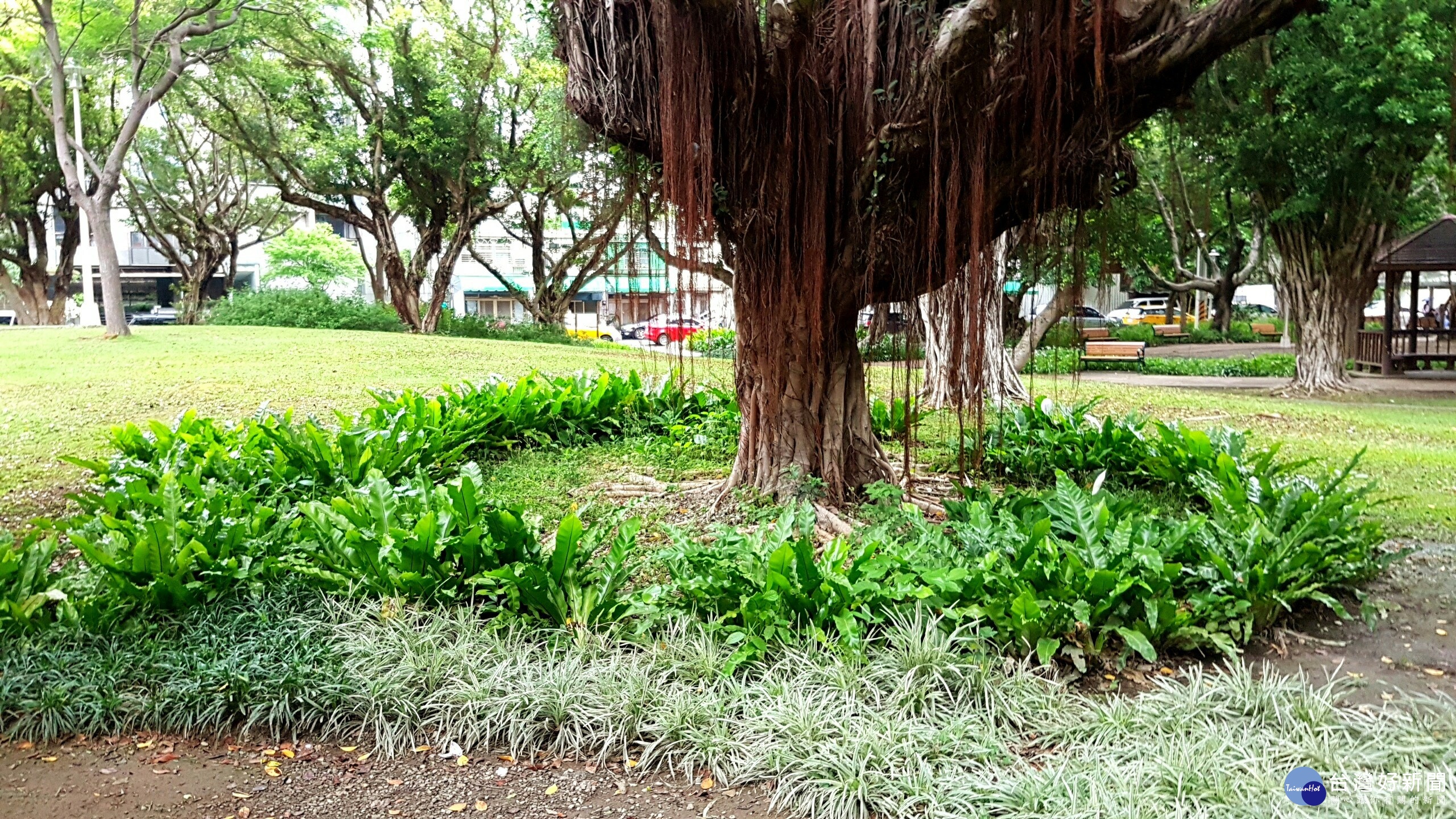 前港公園大變身，成為休閒好去處。（圖／台北市政府工務局公園路燈工程管理處提供）