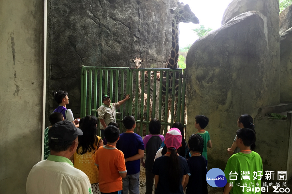 保育員體驗營（圖／台北市立動物園提供）