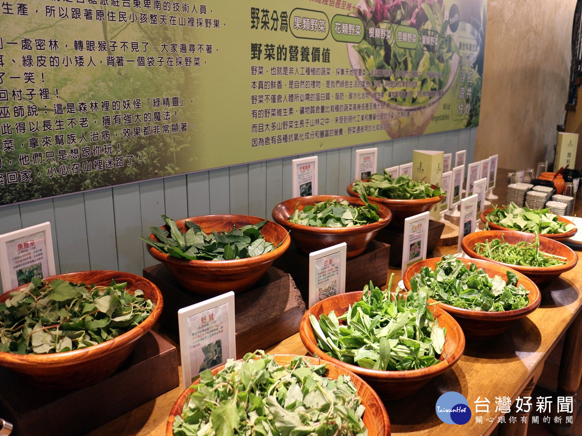 歡樂夢想國的多元蔬食的餐飲建置，開南大學的建置與教學上能以各院師資教育帶進觀光動能