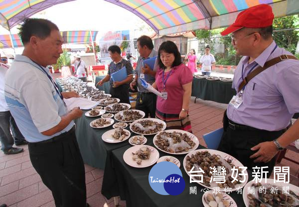 由專業團隊嚴選雲林優質文蛤，並將經驗分享給在地農漁民，協助避免因氣候驟變而造成損失。（記者陳昭宗拍攝）