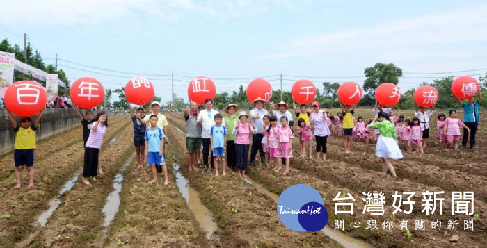 桃園市長鄭文燦，出席桃園市千人踩客家酸菜活動－栽種儀式。 