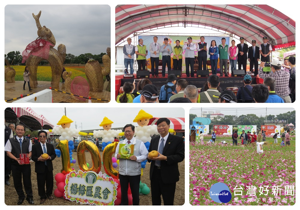 首日活動結合「楊梅區農會百年慶暨桃園市畜產嘉年華會」，場面熱鬧溫馨。