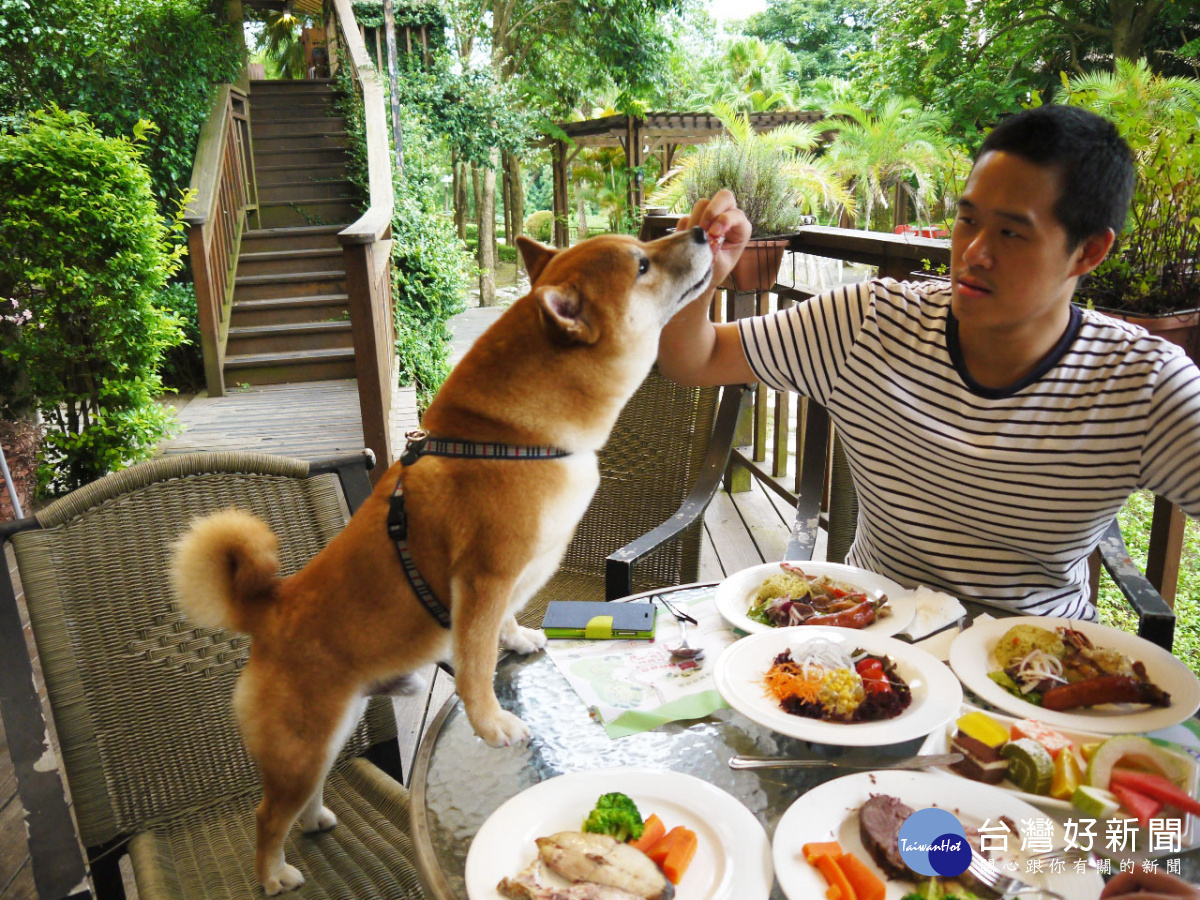 東森山林推出專屬寵物套餐。