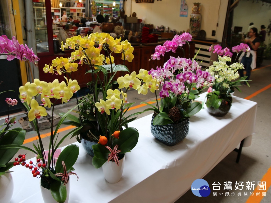 Life生活網 夏日賞花趣大里國光花市蘭花創藝展週末登場