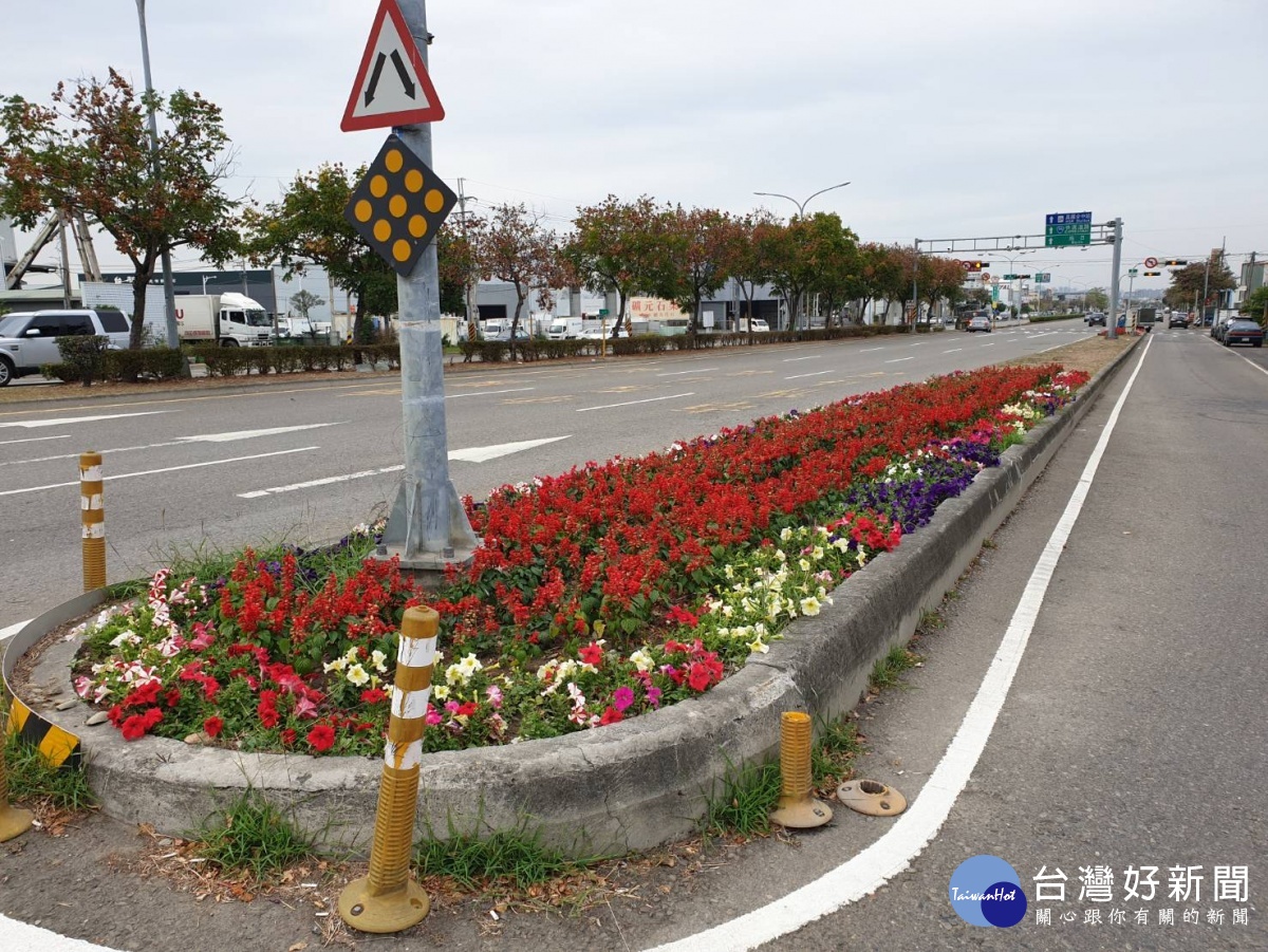 增添年節喜氣台中重要道路中央分隔島種植小花海 台灣好新聞taiwanhot Net