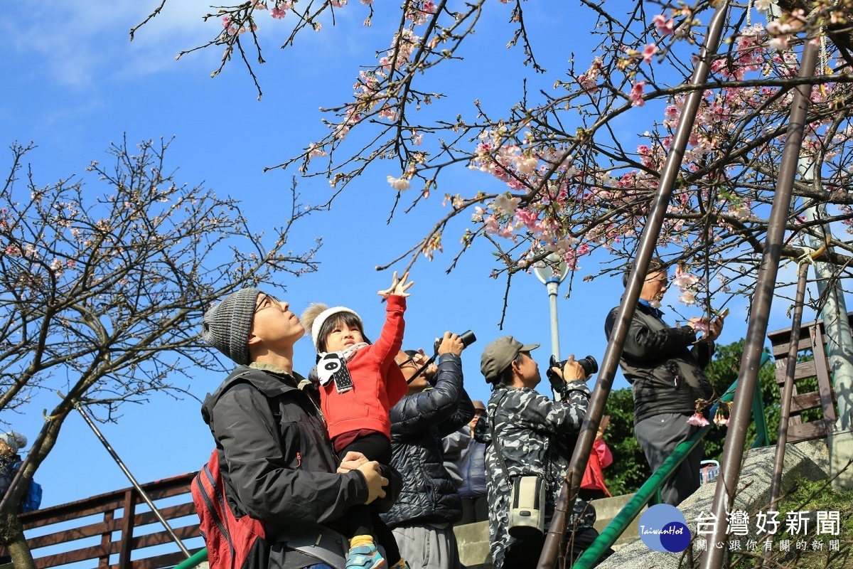 樂活賞花民眾