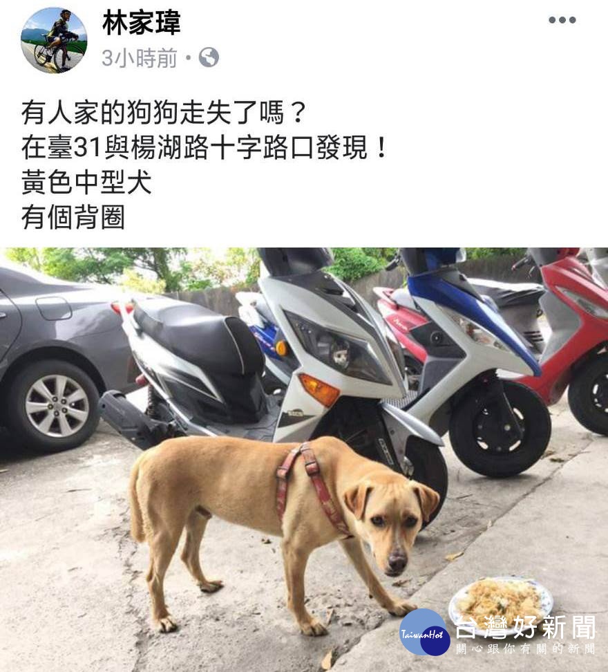「汪星人」上錯車　暖警利用臉書協尋助返家 台灣好新聞 第1張