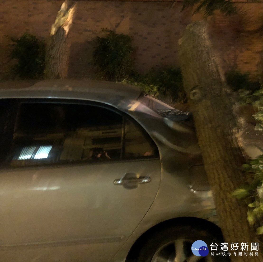 路樹斷裂壓車橫路中　員警揮汗搬斷樹 台灣好新聞 第3張