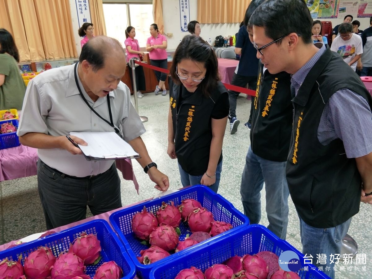 彰化優鮮紅龍果評鑑推出各鄉鎮選拔NO.1。圖／記者鄧富珍攝