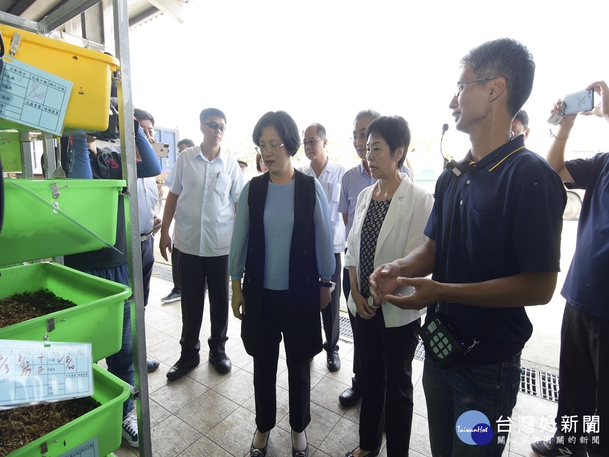 田中鎮養黑水虻解廚餘問題　獲王惠美讚許推廣 台灣好新聞 第2張