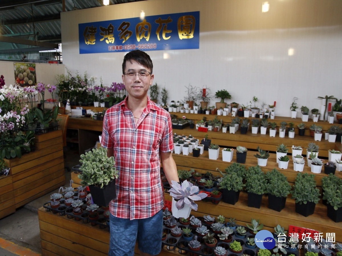 大里農會國光花市五街療癒的多肉花園 蕃新聞