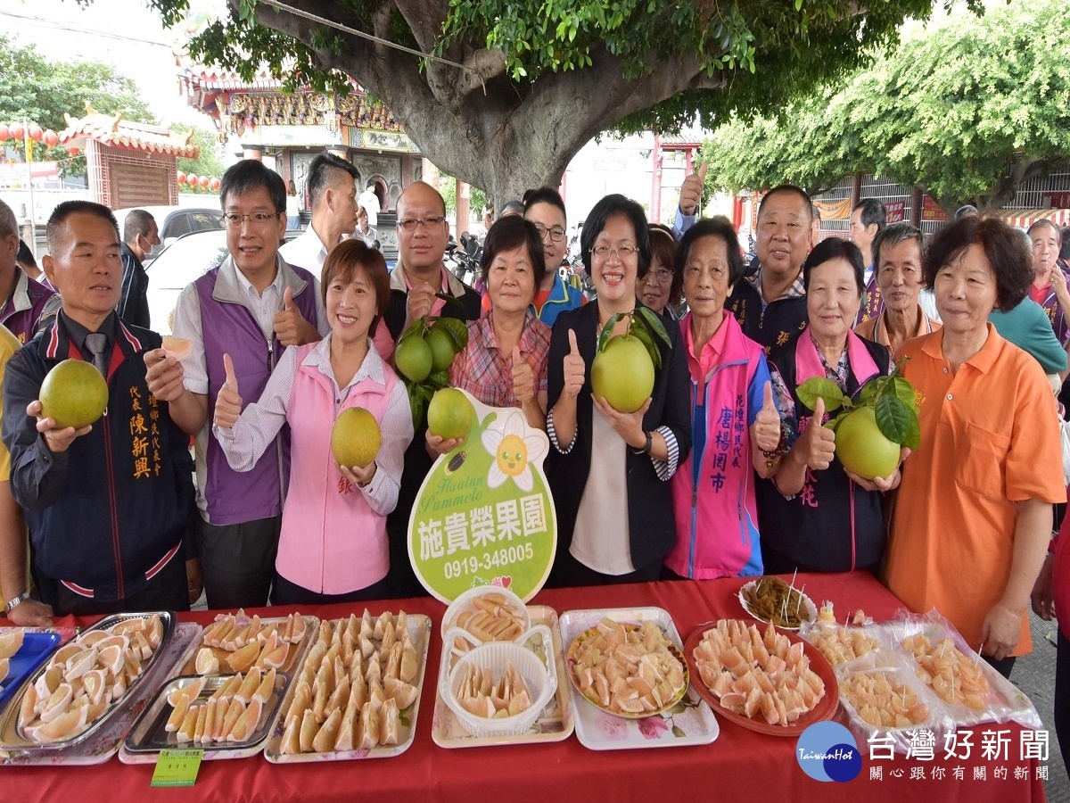 霜降過西施柚正熟　品花壇鄉西施柚正著時 台灣好新聞 第4張