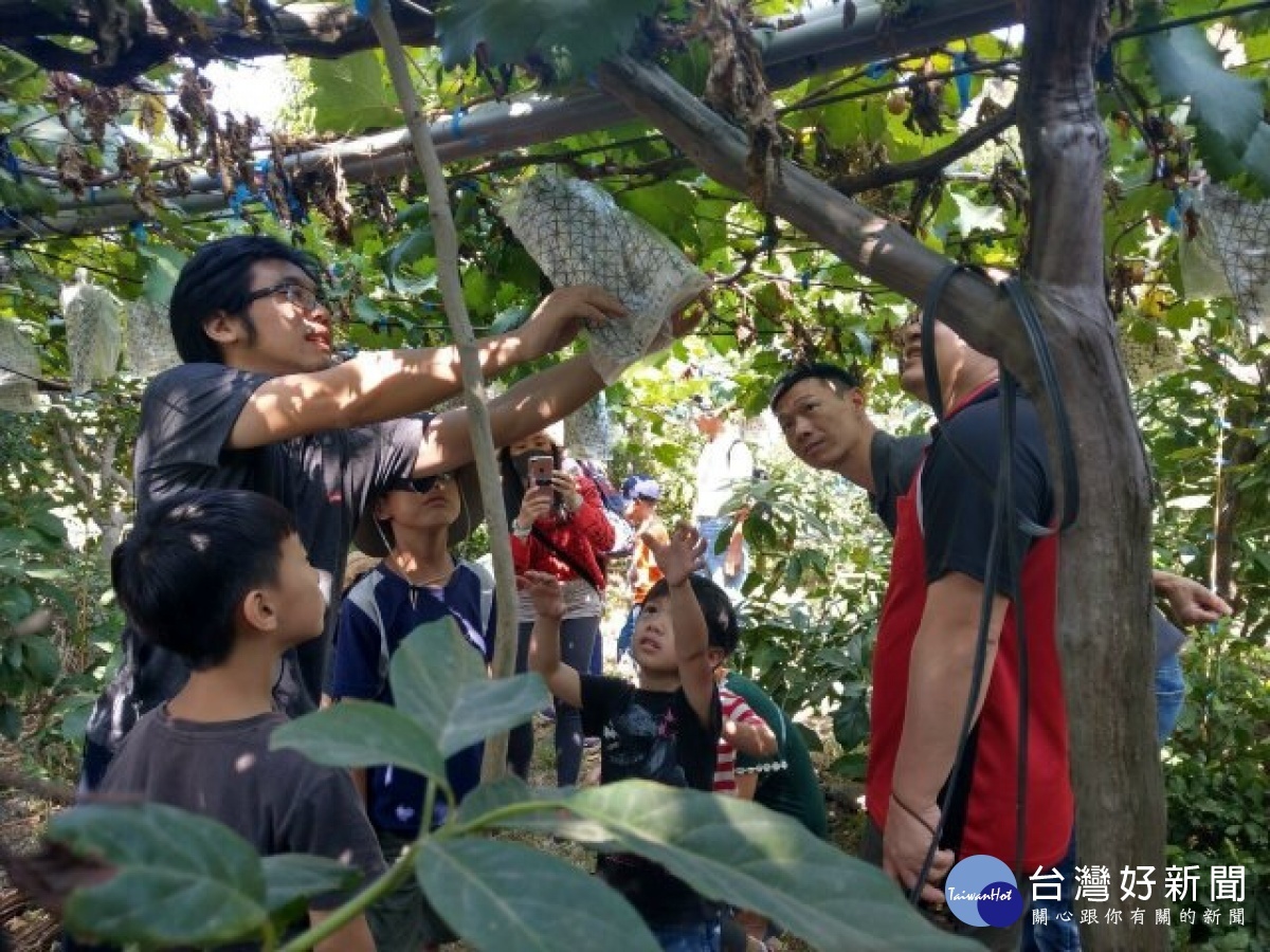 外埔輕旅行體驗人文地產景 蕃新聞