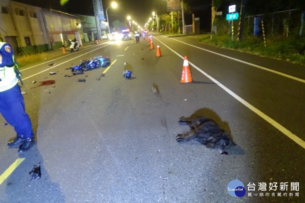 因動物亂竄導致駕駛人發生交通事故／縣警局提供