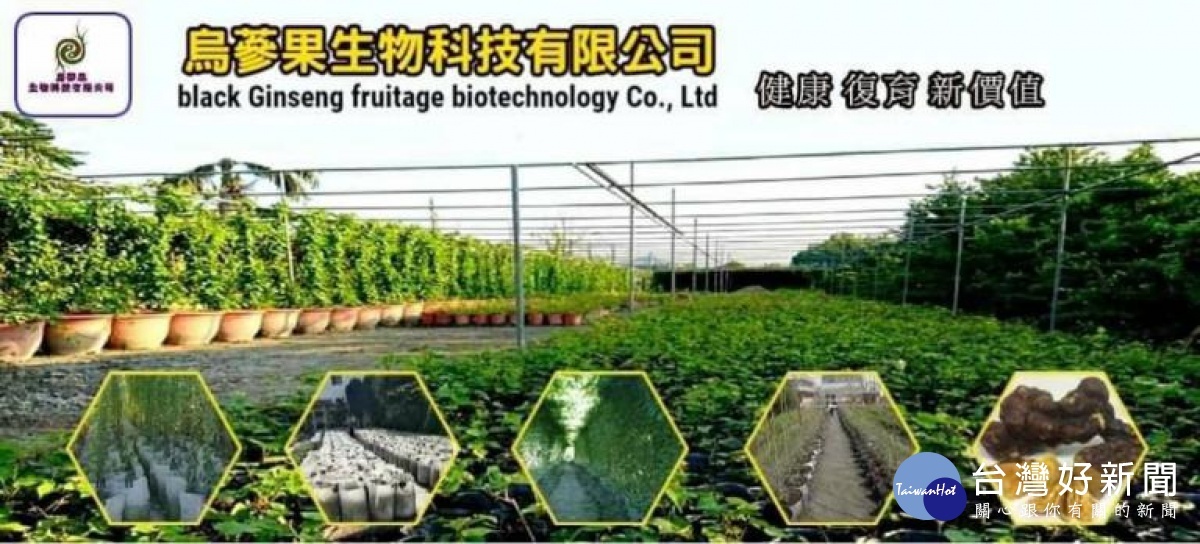 ▲烏蔘果生物科技栽植園區。（圖／烏蔘果生技提供）