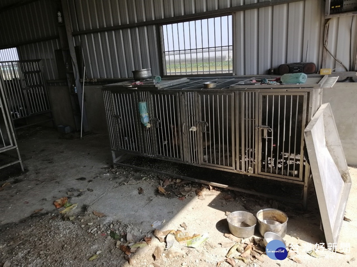 嘉義縣家畜所查獲民眾不當飼養犬貓，依法開罰9萬8000元／嘉義縣府提供
