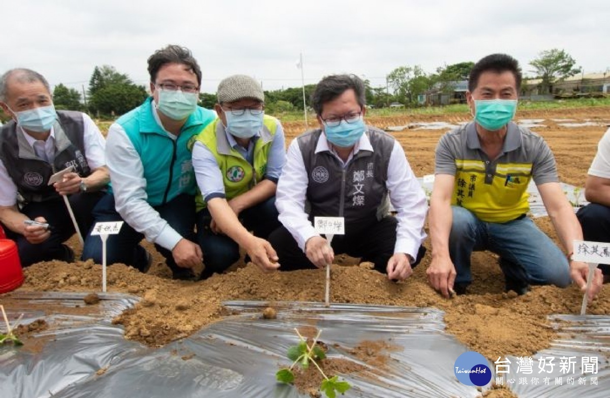 桃園市長鄭文燦前往大園區溪海休閒農業區，視察西瓜農事體驗。