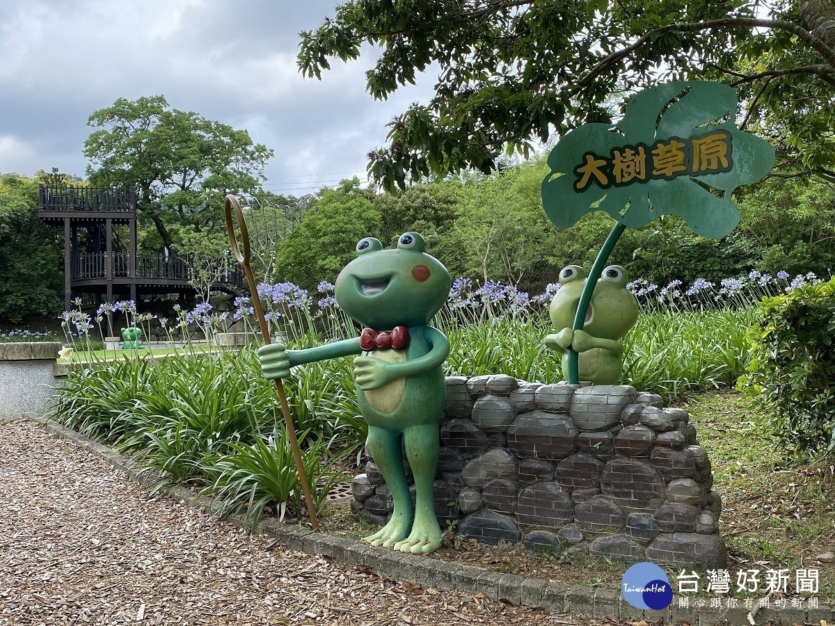 愛情迫降內雙溪紫色花海浪漫綻放 蕃新聞