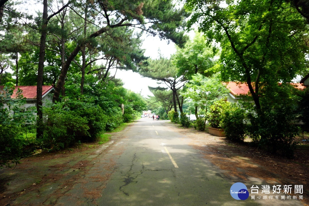 前身為保一總隊大湳營區的大湳森林公園現況。