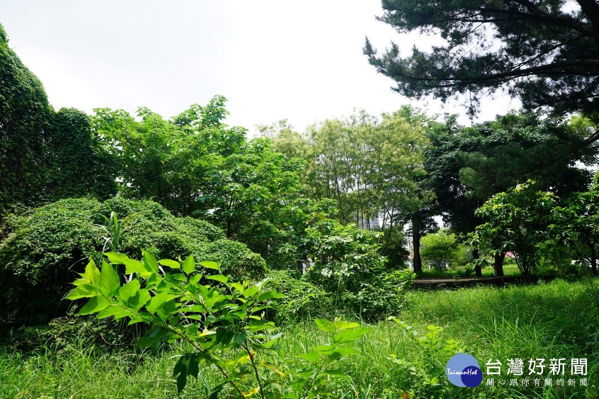 前身為保一總隊大湳營區的大湳森林公園現況。