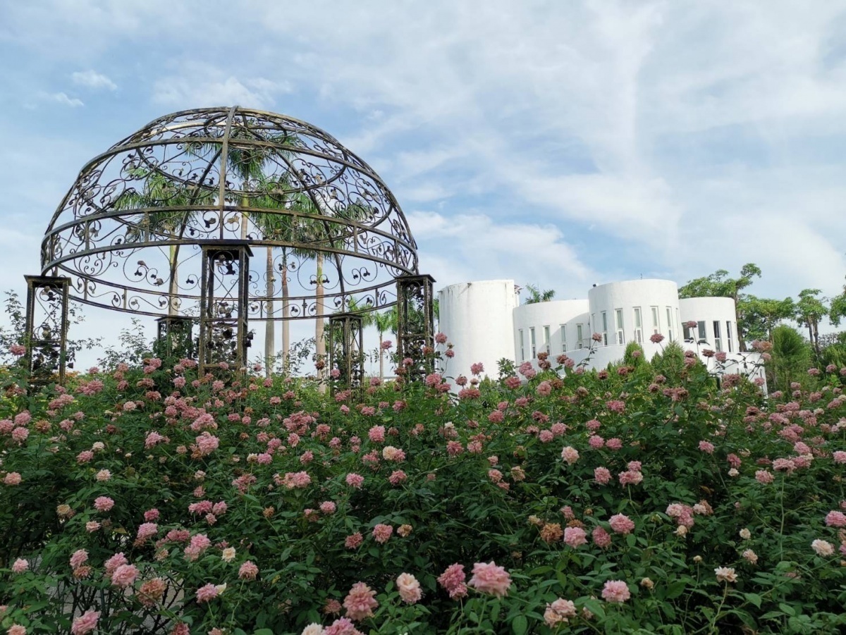 光之圓頂下的玫瑰花是熱門打卡點（圖／台北市公園處提供）