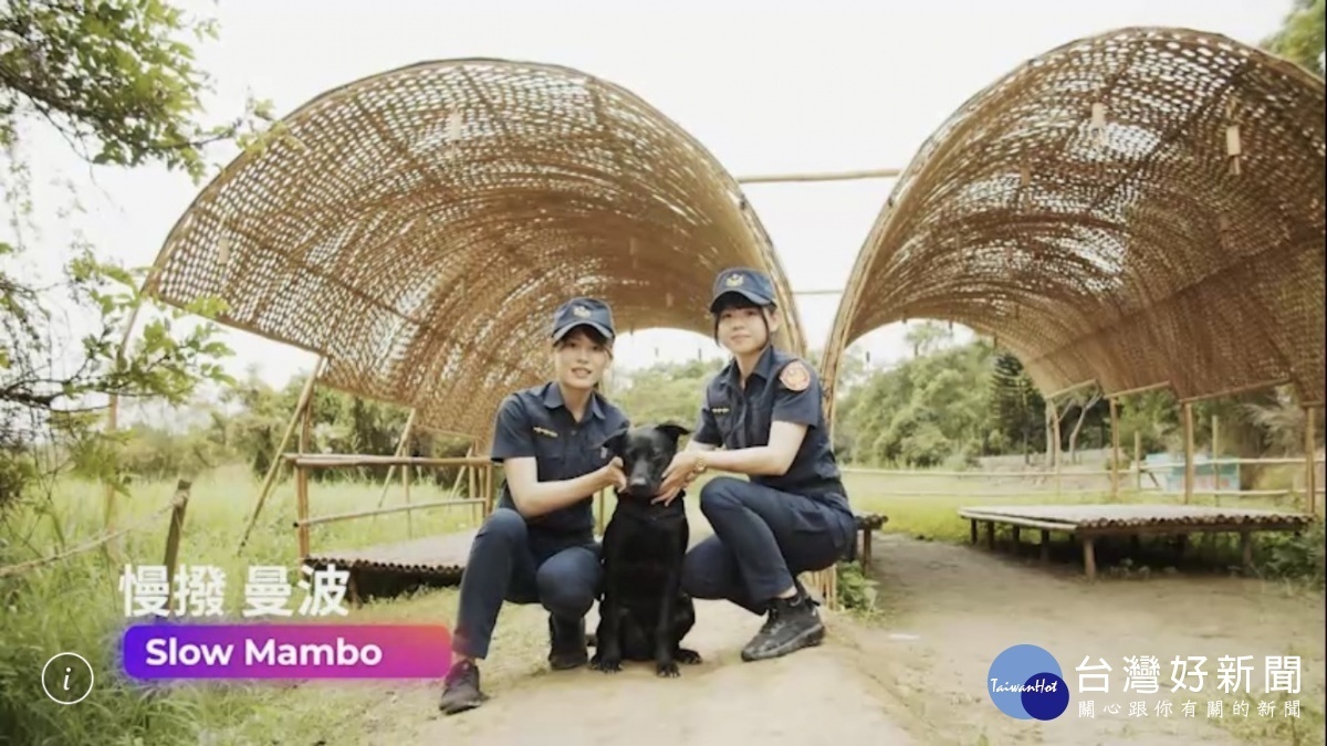 桃園地景藝術節，平警「猛犬」賣萌宣導。