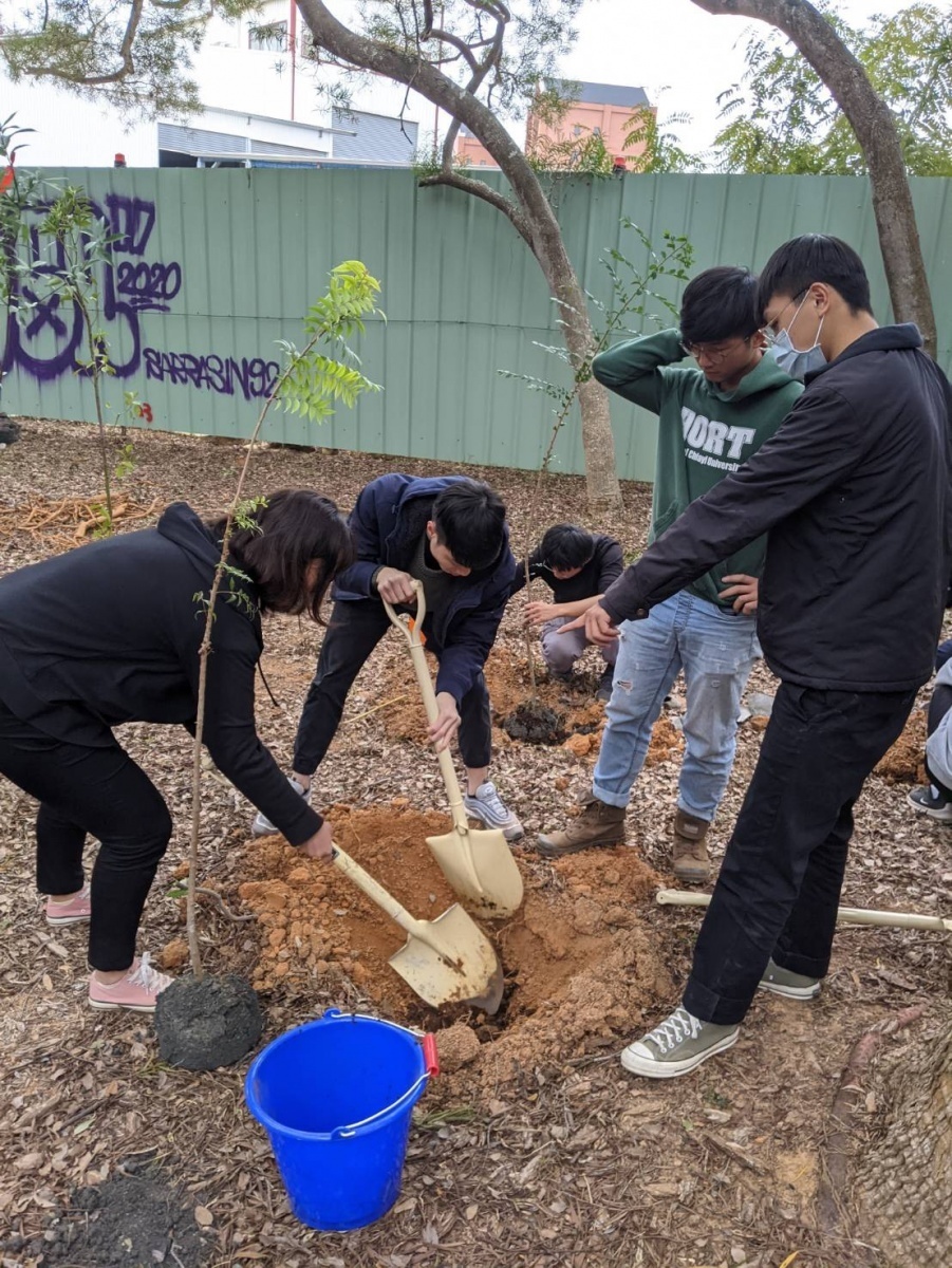 學生補種小樹苗