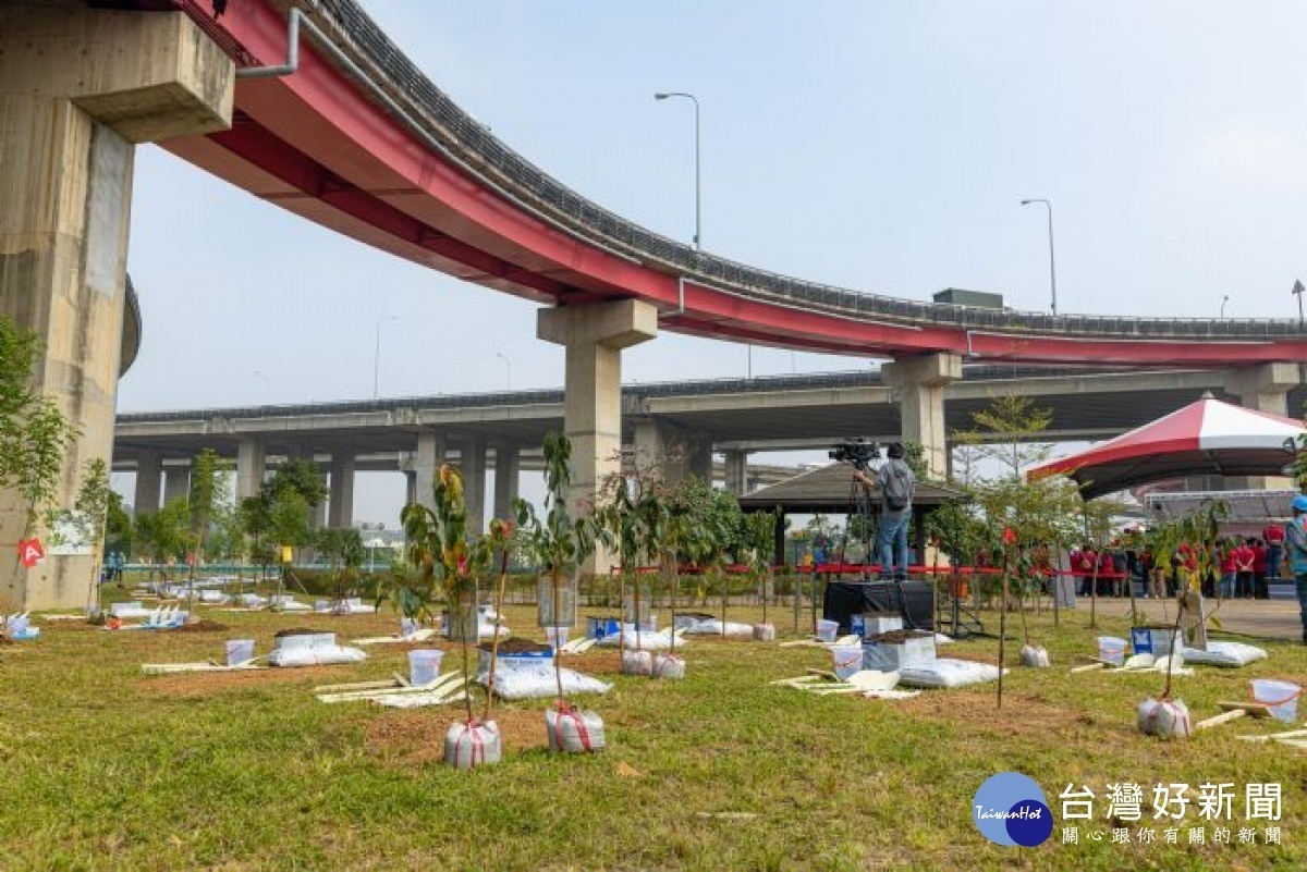 台積電慈善基金會與桃市府合作，選擇平鎮運動公園種植樹苗