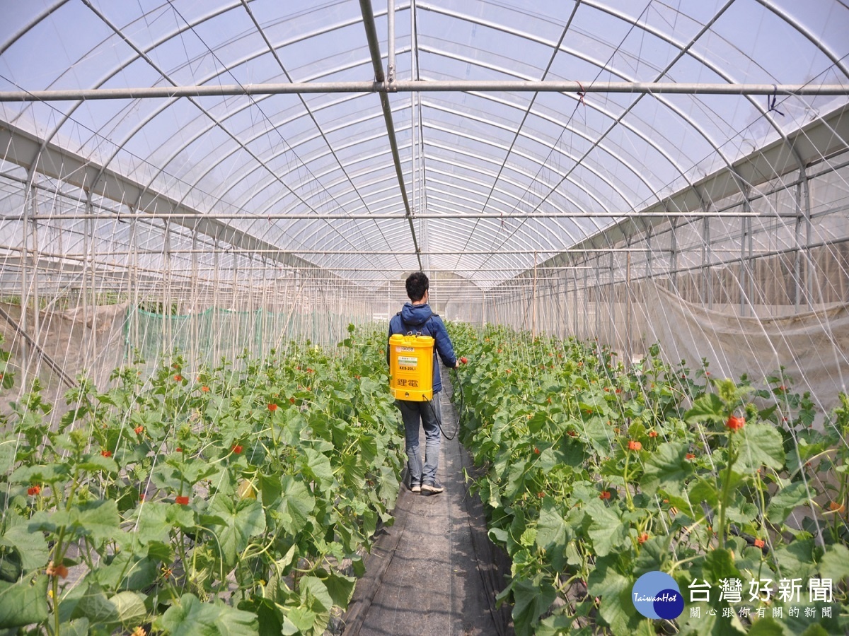 利用次氯酸水做病蟲害防治　明道農業用藥再進化