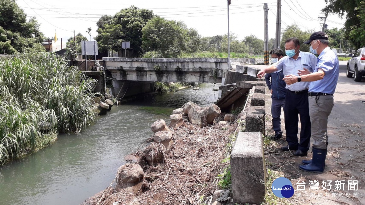 食水嵙溪水量回穩　台灣白魚放流原棲地 台灣好新聞 第3張