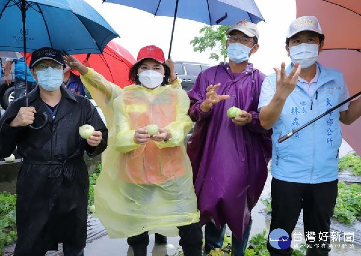 縣長張麗善特會同農改場人員、農業處長吳芳銘前往大埤、四湖、臺西等地現場勘查西瓜、蔥、香瓜及蘿蔔農損情況。