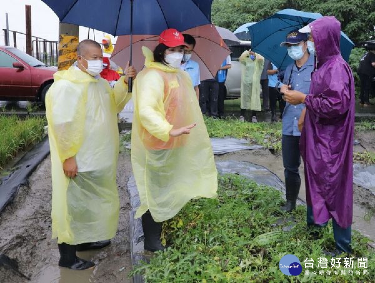 縣長張麗善特會同農改場人員、農業處長吳芳銘前往大埤、四湖、臺西等地現場勘查西瓜、蔥、香瓜及蘿蔔農損情況。