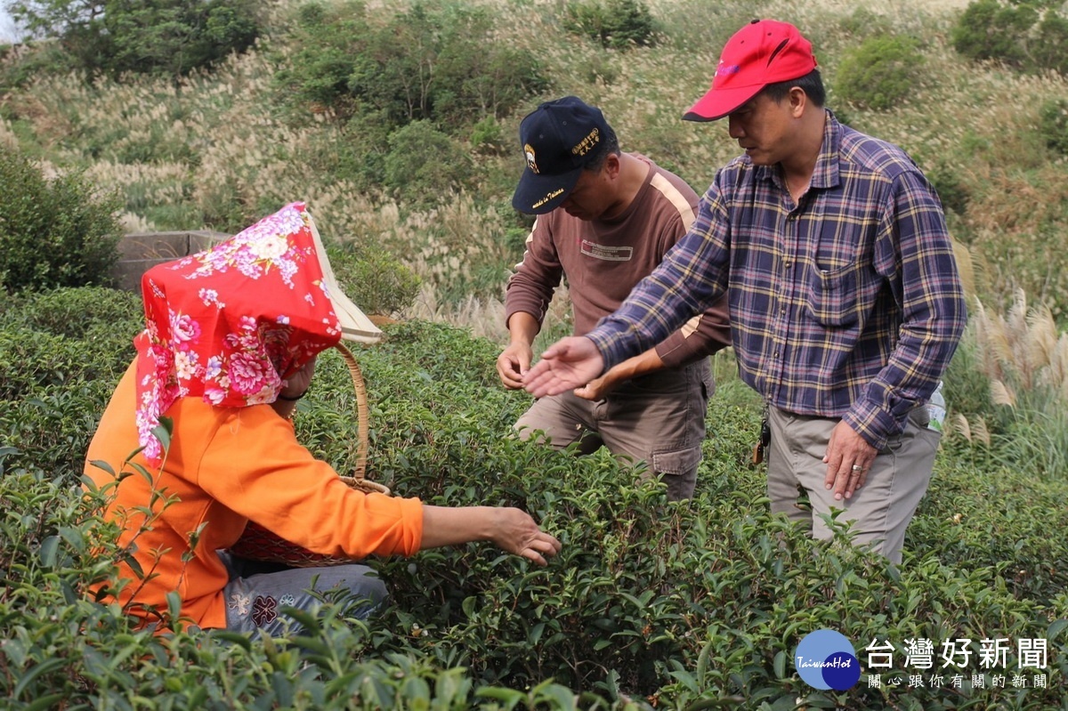 第二屆全國金牌農村揭曉，桃園市內柵社區與大北坑社區分獲銀銅雙獎。